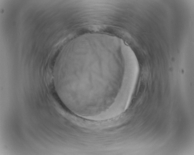 X0000077360043200611171934