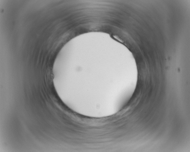 X0000077360044200611171934