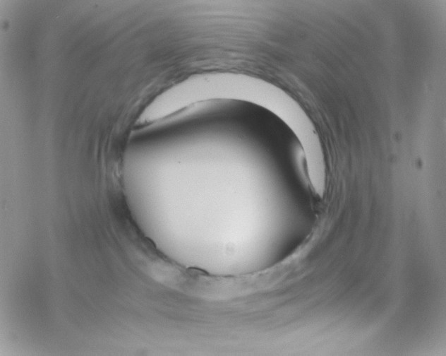 X0000077360045200611171934