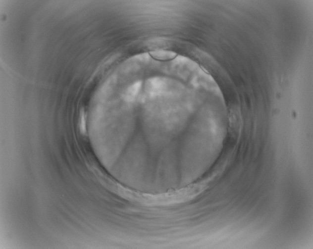 X0000077360046200611171934