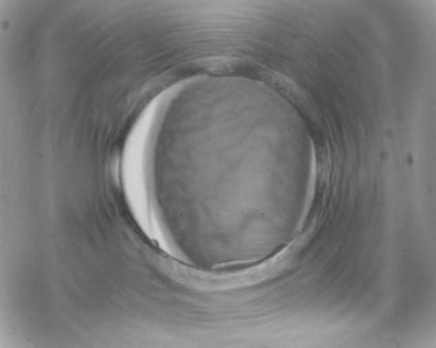 X0000077360047200611171934