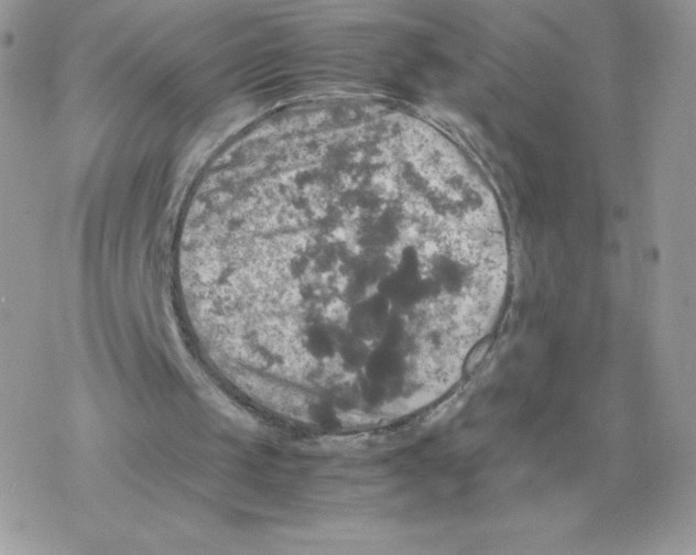 X0000077360049200611171933