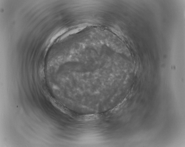 X0000077360050200611171933