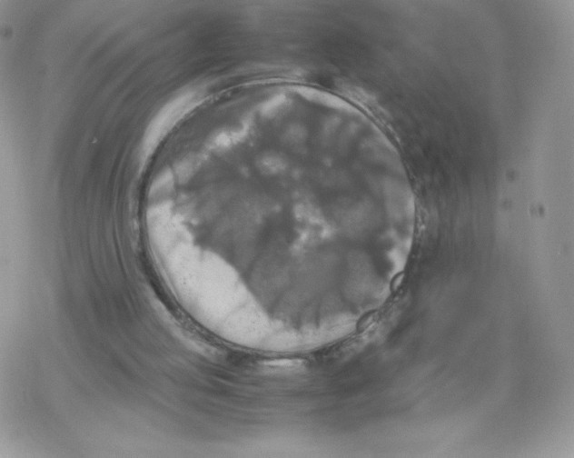 X0000077360053200611171933