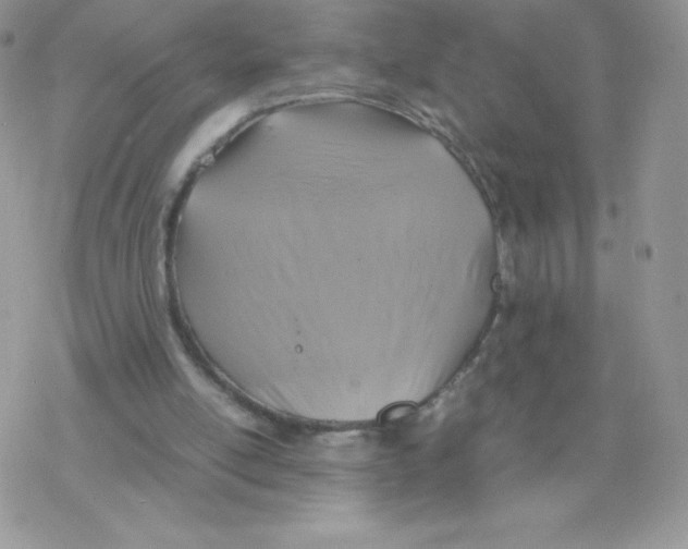 X0000077360054200611171933