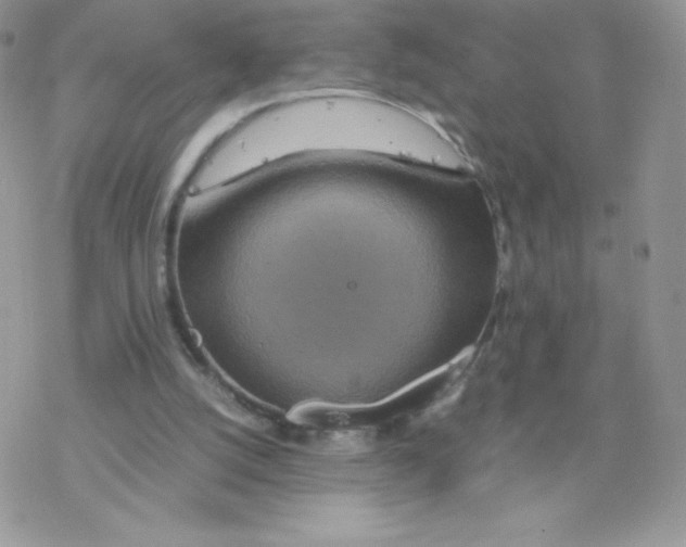 X0000077360056200611171933