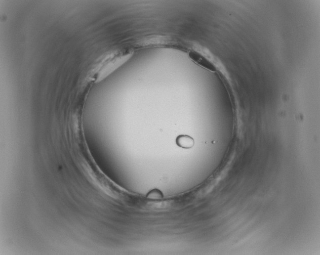 X0000077360057200611171933