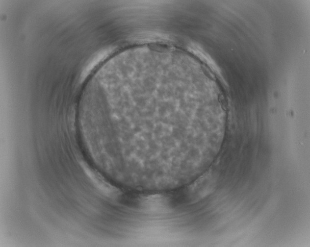 X0000077360058200611171933