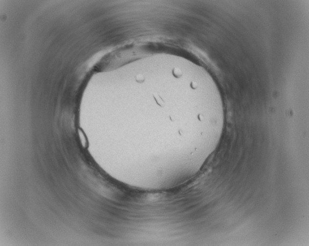 X0000077360060200611171933