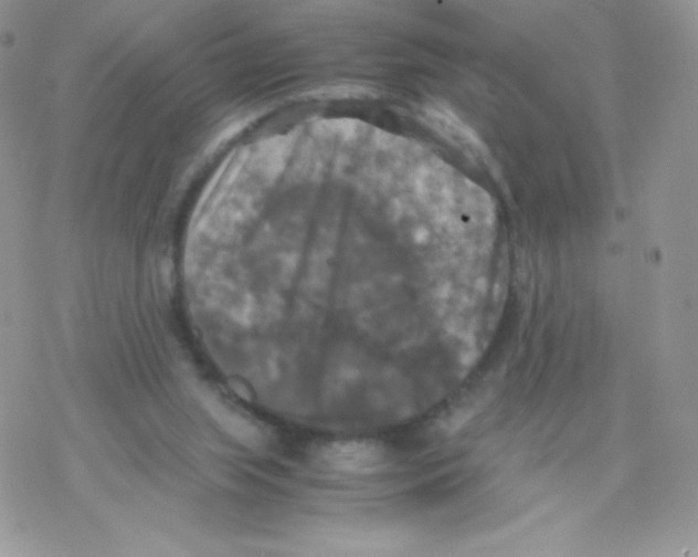 X0000077360063200611171933