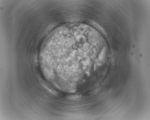 X0000077360065200611171933