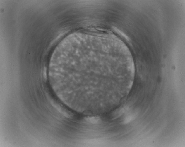 X0000077360067200611171934