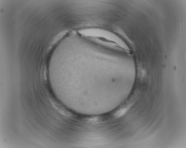 X0000077360068200611171934