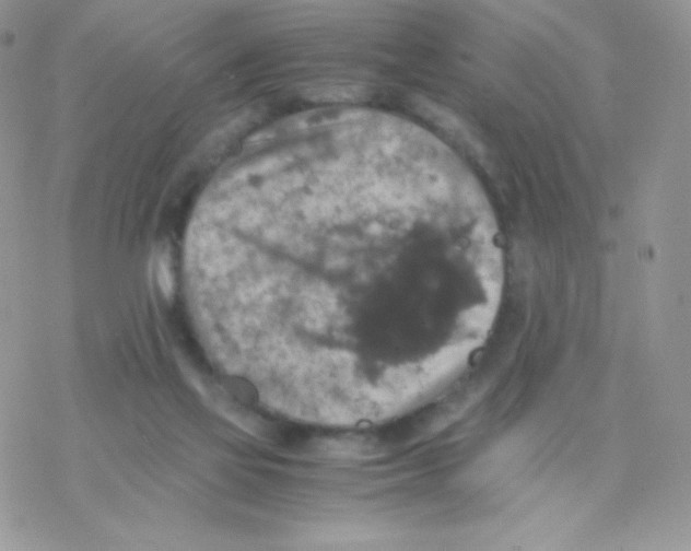 X0000077360069200611171934