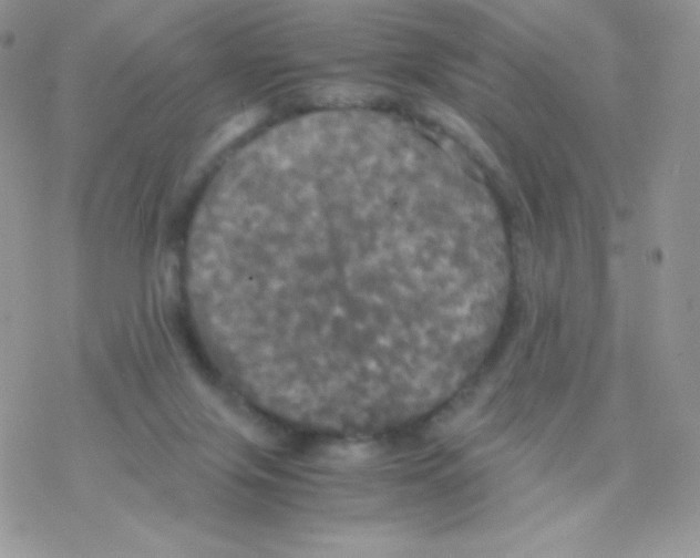 X0000077360071200611171934