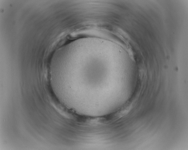 X0000077360072200611171934