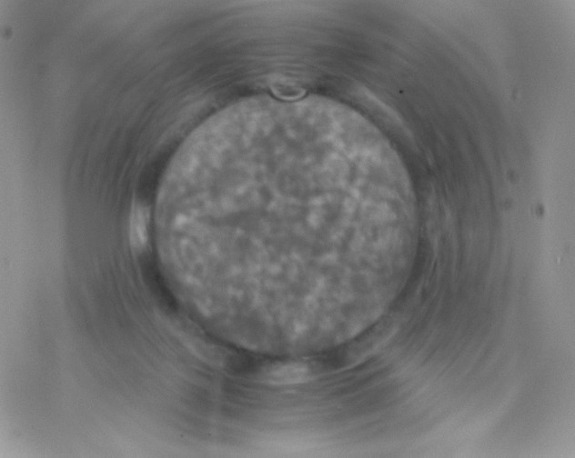 X0000077360075200611171934