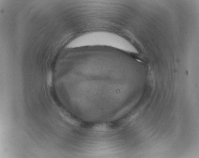 X0000077360076200611171934