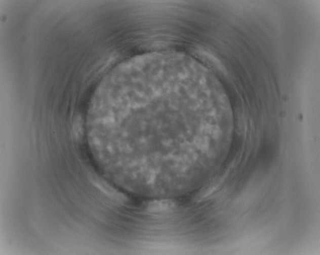 X0000077360077200611171934