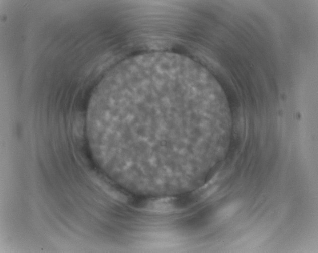 X0000077360078200611171934