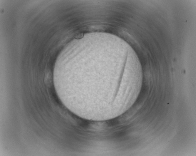 X0000077360079200611171934