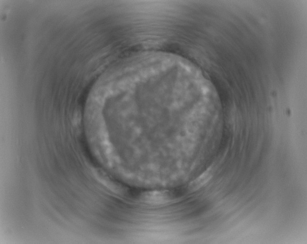 X0000077360082200611171934