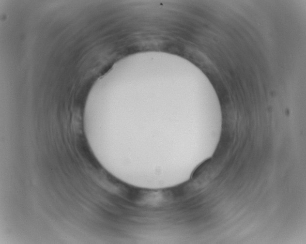 X0000077360083200611171934