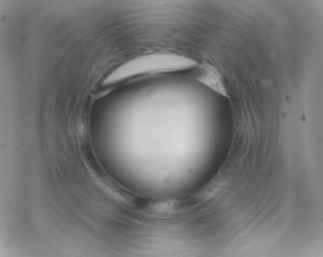 X0000077360084200611171934