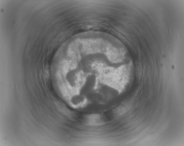 X0000077360085200611171934