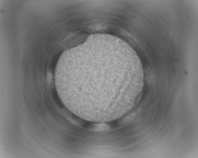 X0000077360087200611171934