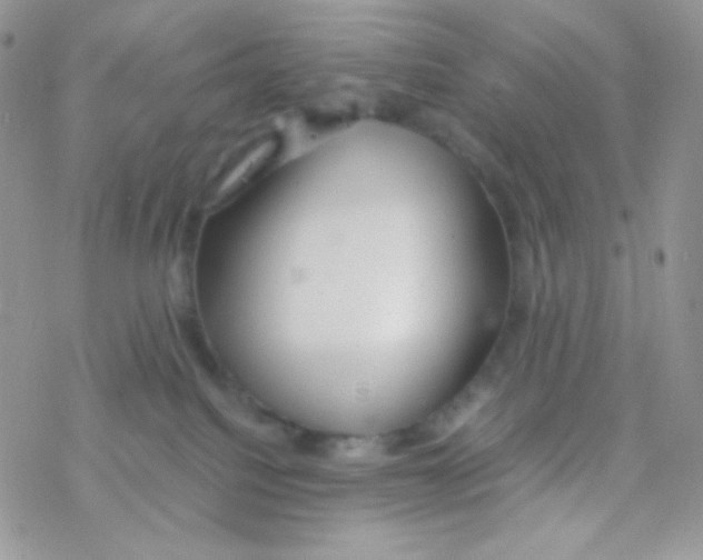 X0000077360088200611171934