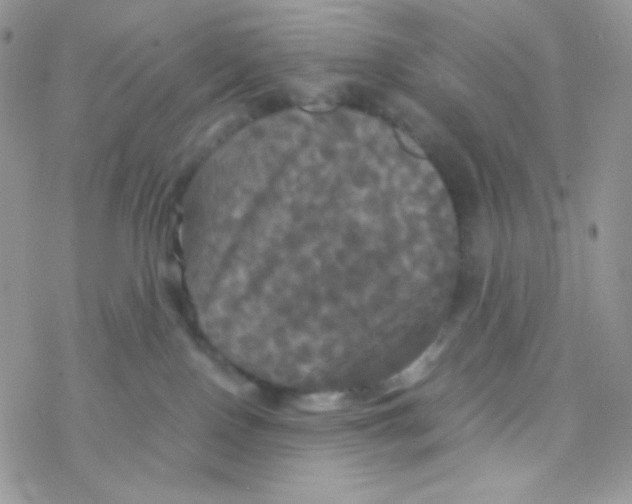 X0000077360090200611171934