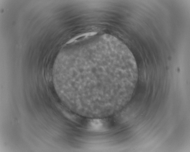 X0000077360091200611171934