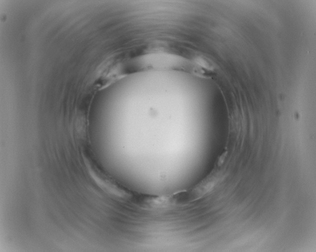 X0000077360092200611171934