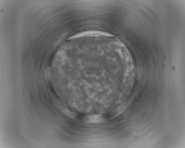 X0000077360093200611171934