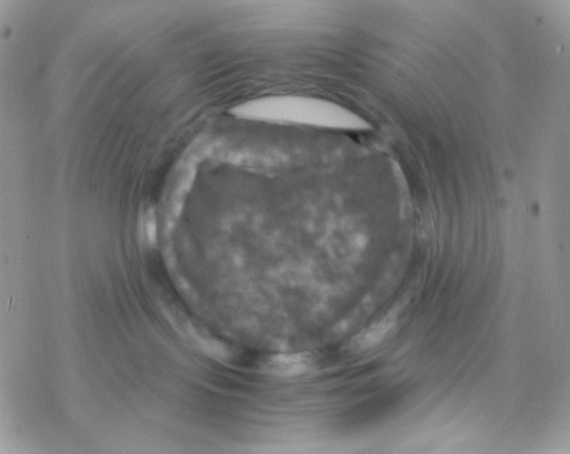 X0000077360095200611171934