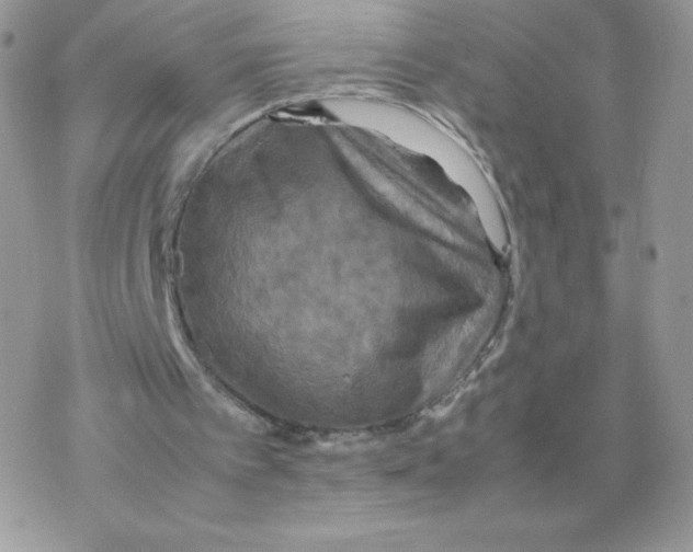 X0000077360097200611171933