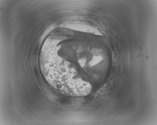 X0000077360099200611171933