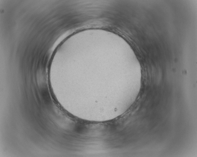 X0000077360100200611171933