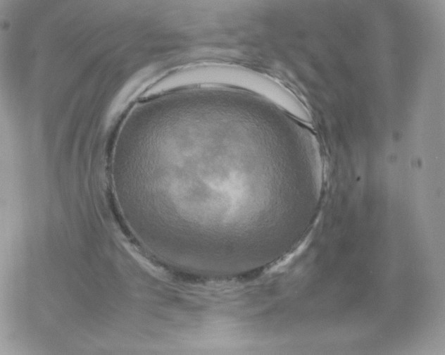 X0000077360101200611171933