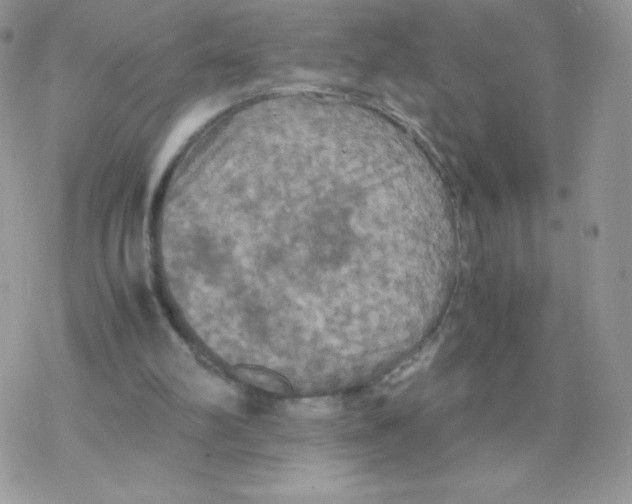 X0000077360102200611171933