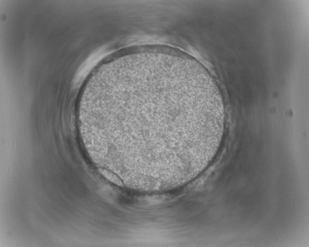 X0000077360103200611171933