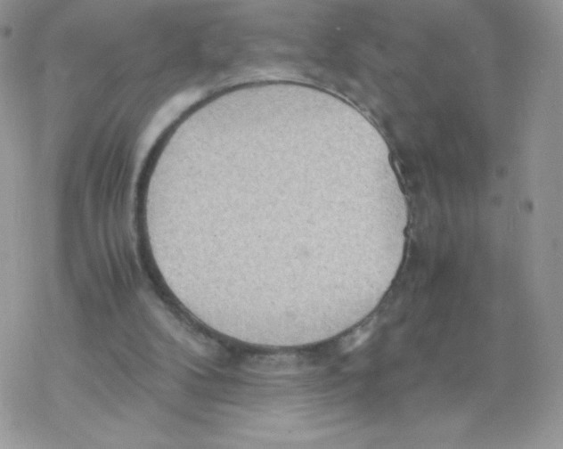 X0000077360104200611171933