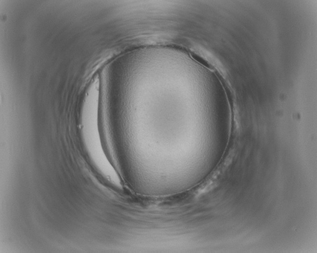 X0000077360105200611171933