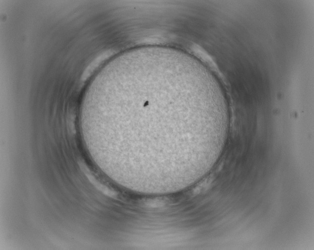 X0000077360106200611171933