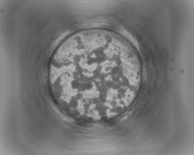 X0000077360107200611171933