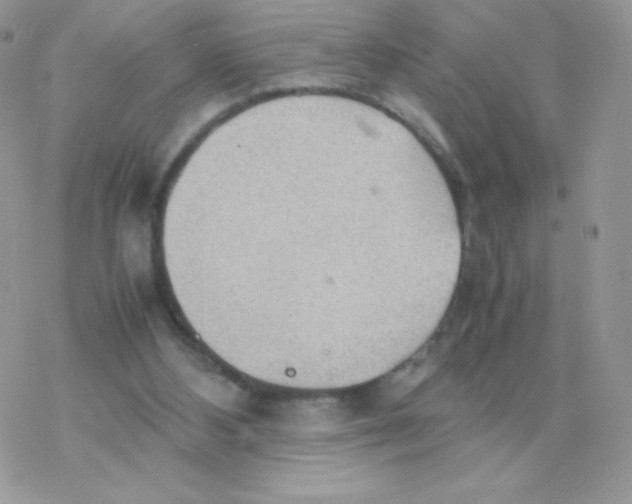 X0000077360108200611171933