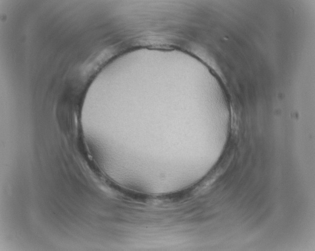 X0000077360109200611171933