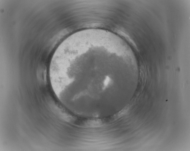 X0000077360110200611171933