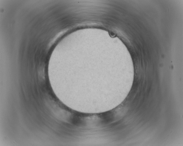 X0000077360112200611171933